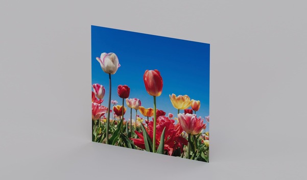 Traditional Camera 3 Colors